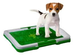 Tapete Para Perro 47x34 Ref: RL-1