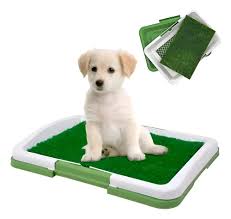 Tapete Para Perro 47x34 Ref: RL-1